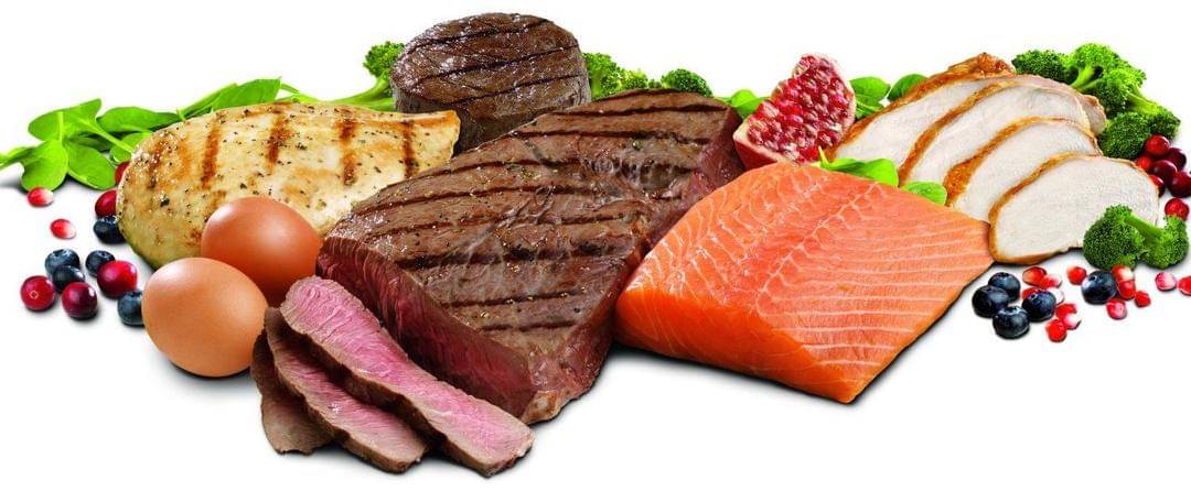 perdendobarriga.com.br